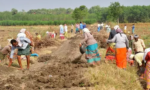 Panchayat Raj Department, 100 days work, employment guarantee, disabled,transgenders