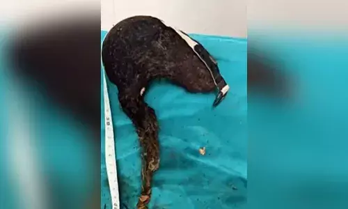 14 ఏళ్ల బాలిక కడుపులో.. అమ్మో..!