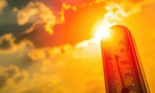 APSDMA, districts, APnews, high temperatures