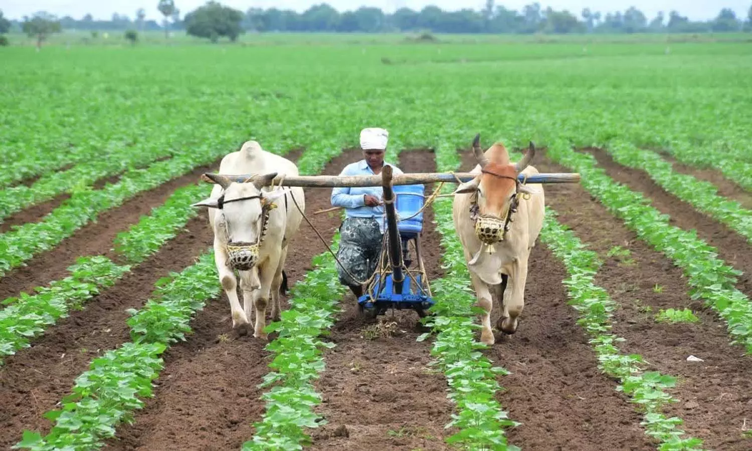 National News, PM Kisan Funds, Farmers, Union Government, PM Modi