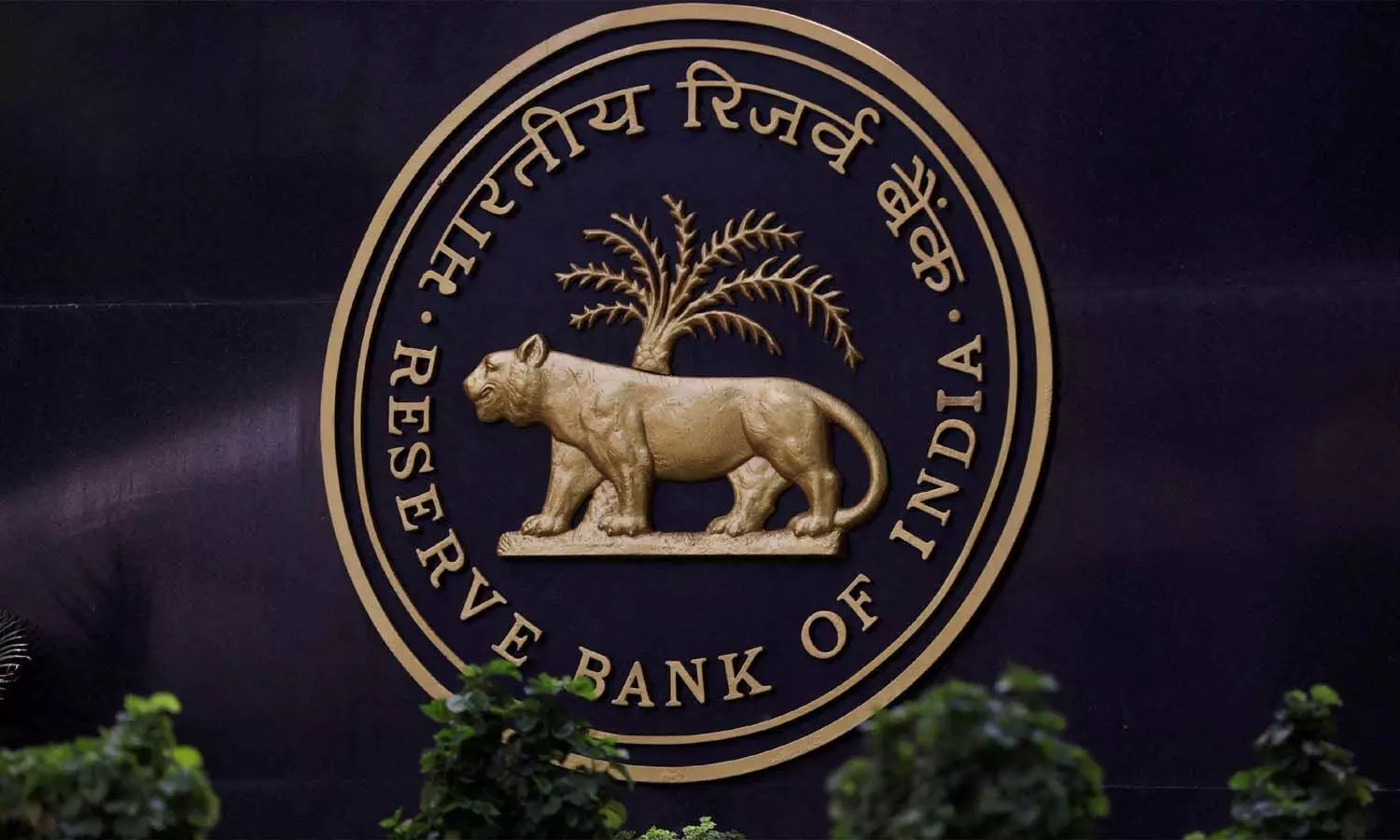 Business News, RBI, Repo Rate Business News, RBI, Repo Rate