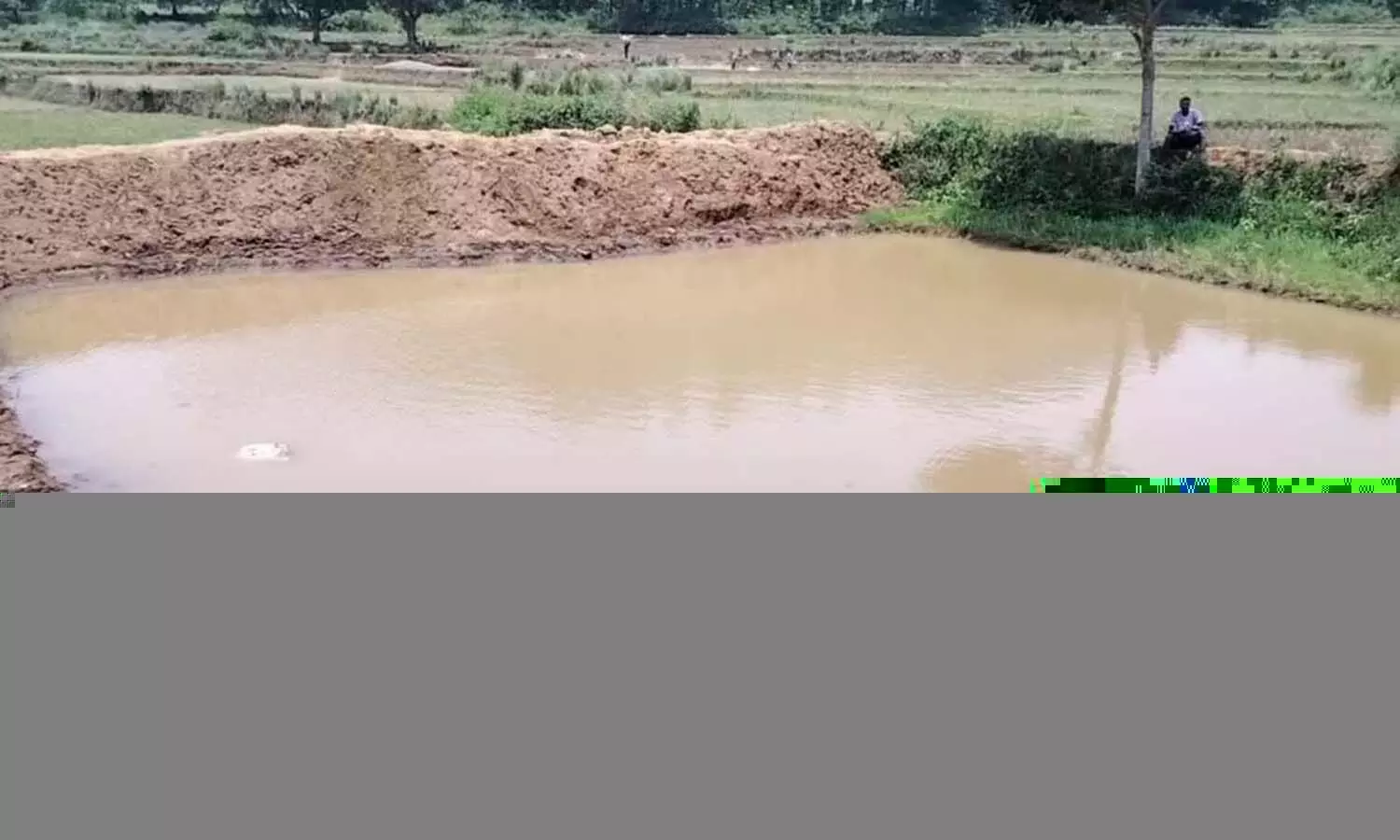 Crime News, Andrapradesh, Alluri District, Three Children Died Crime News, Andrapradesh, Alluri District, Three Children Died