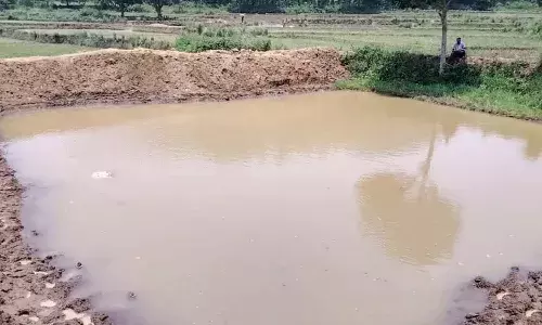 Crime News, Andrapradesh, Alluri District, Three Children Died