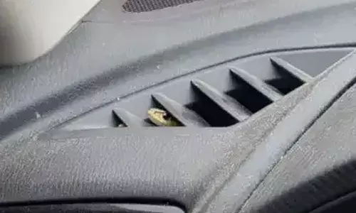 కారు డ్యాష్ బోర్డులో నుండి బుస్సు.. బుస్సు మంటూ శబ్దం..!