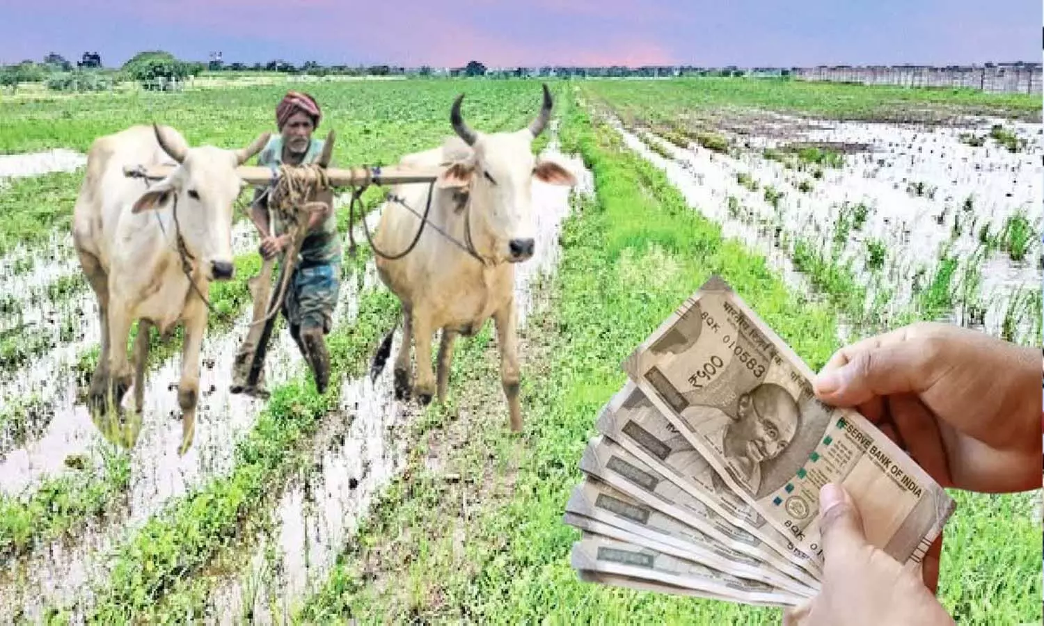 Telangana, Congress Government, Farmers, Raithu Bharosa Telangana, Congress Government, Farmers, Raithu Bharosa
