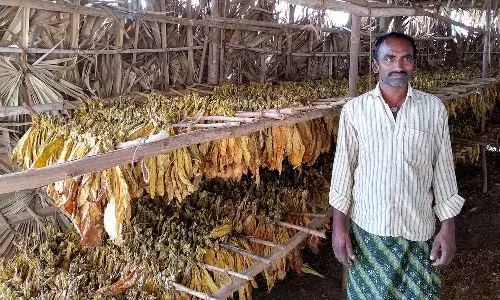Union Minister Piyush Goyal, Guntur, Tobacco Board office, tobacco farmers