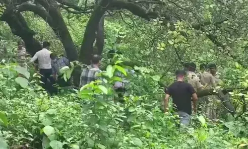 Bengaluru couple travel to Goa to get married, he kills her there