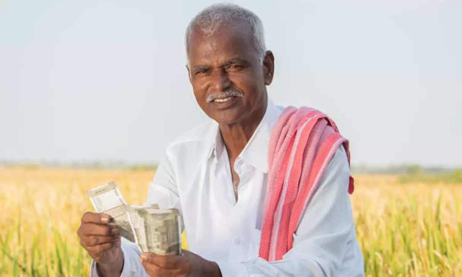 new applications, Rythu Bharosa Scheme, Telangana, Farmers new applications, Rythu Bharosa Scheme, Telangana, Farmers