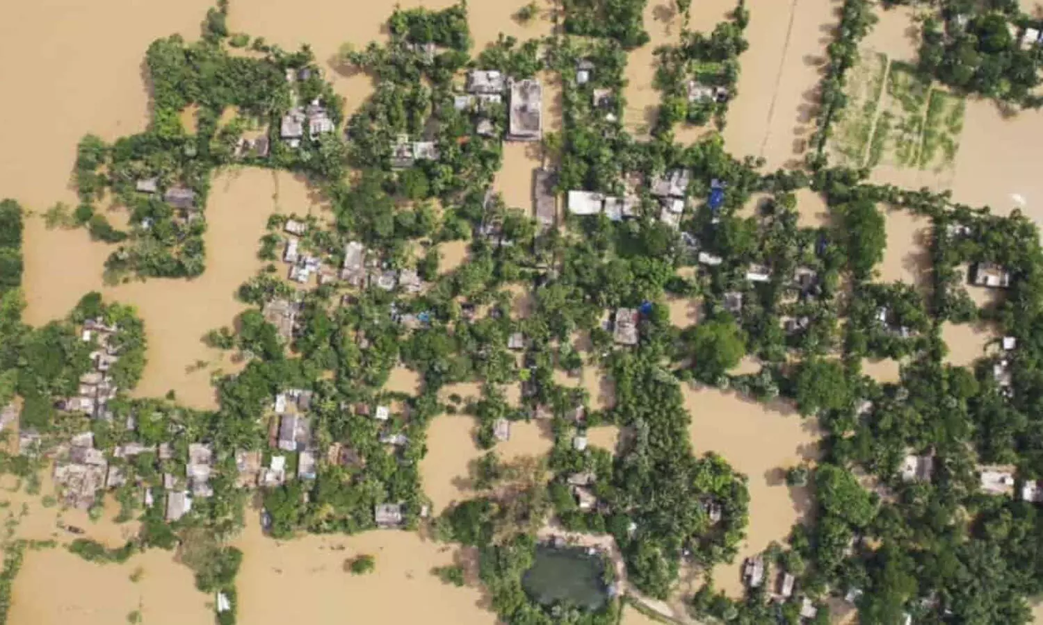 Flood, Odisha, Balasore district, Flood, Odisha, Balasore district,