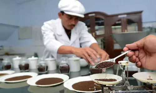 విడిగా విక్రయించే టీ లో కల్తీ యొక్క సూచికలు