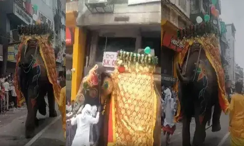 National News, Gujarat, Jagannath Rath Yatra, Elephant Attack, Stampede