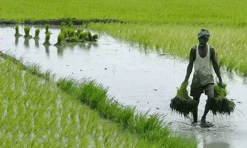farmers, Annadatha Sukhibhav scheme, APnews
