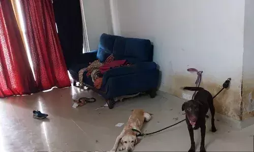 Woman kills pet dog, occult ritual, Bengaluru, flat, Crime