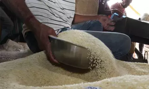 ration cards, Distribution of ration rice, Telangana