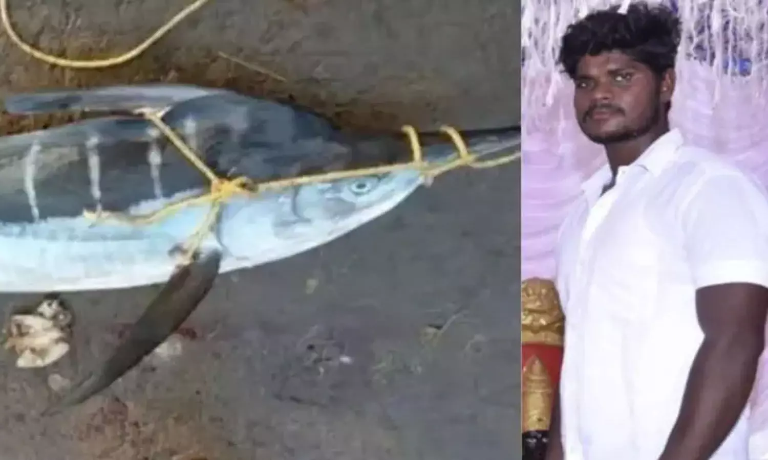 Kommu Konam Fish, Fisherman, Sea , Anakapalli District, APnews Kommu Konam Fish, Fisherman, Sea , Anakapalli District, APnews