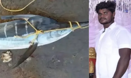 Kommu Konam Fish, Fisherman, Sea , Anakapalli District, APnews