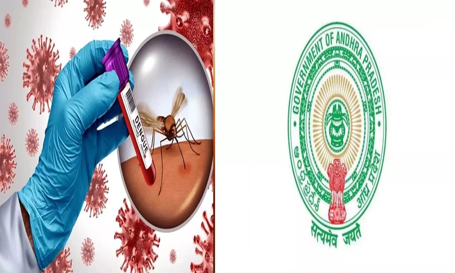 Andrapradesh, Ap Government, Eradicate Mosquitoes Andrapradesh, Ap Government, Eradicate Mosquitoes