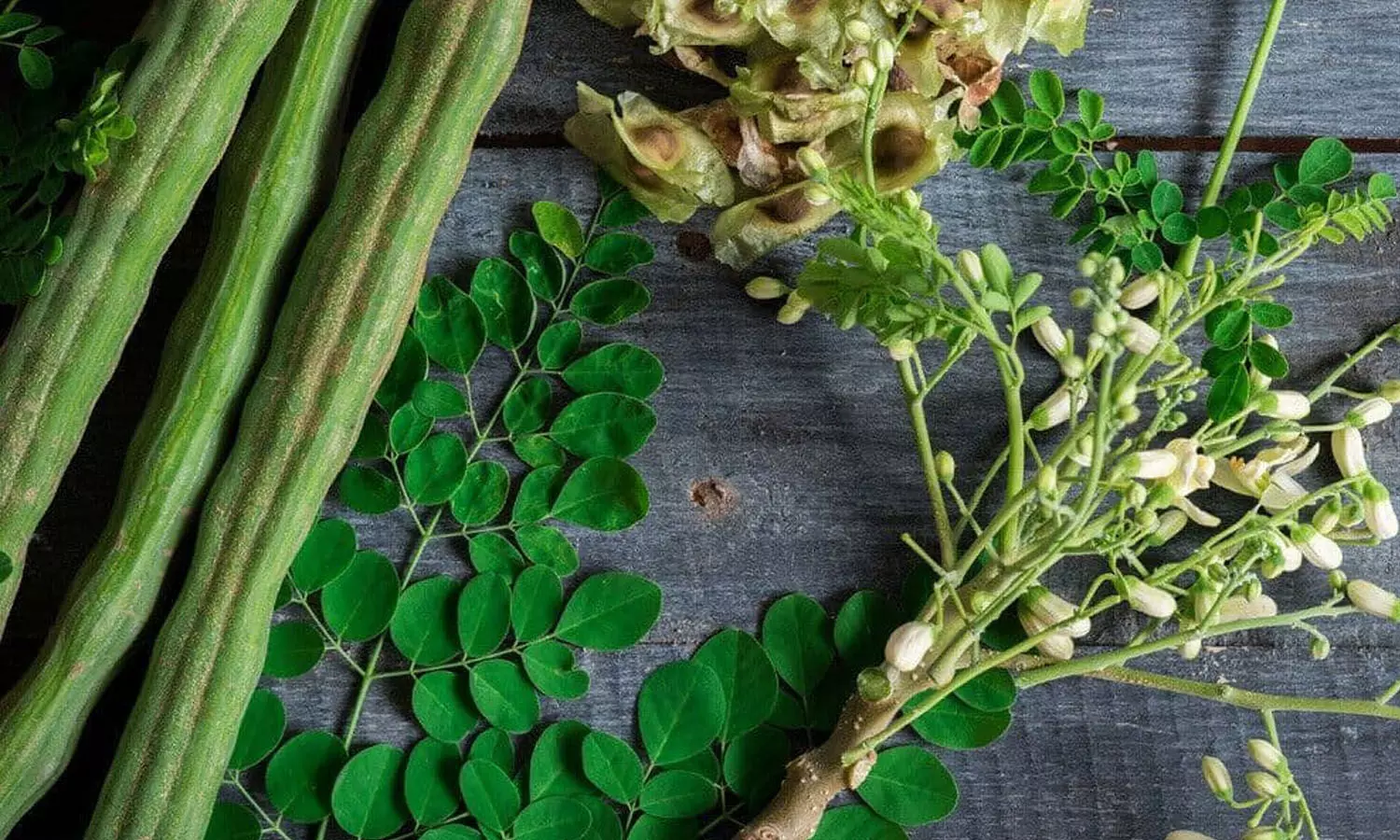 Health benefits, eating, Lifestyle, Drumstick, monsoon season Health benefits, eating, Lifestyle, Drumstick, monsoon season
