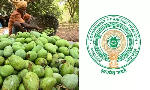 AP government, mango farmers, APnews, Minister atchannaidu