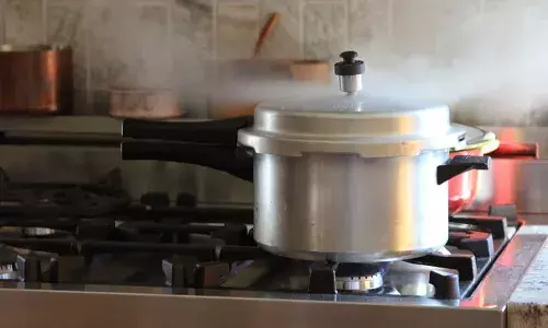 pressure cooker, Lead poisoning, Life style