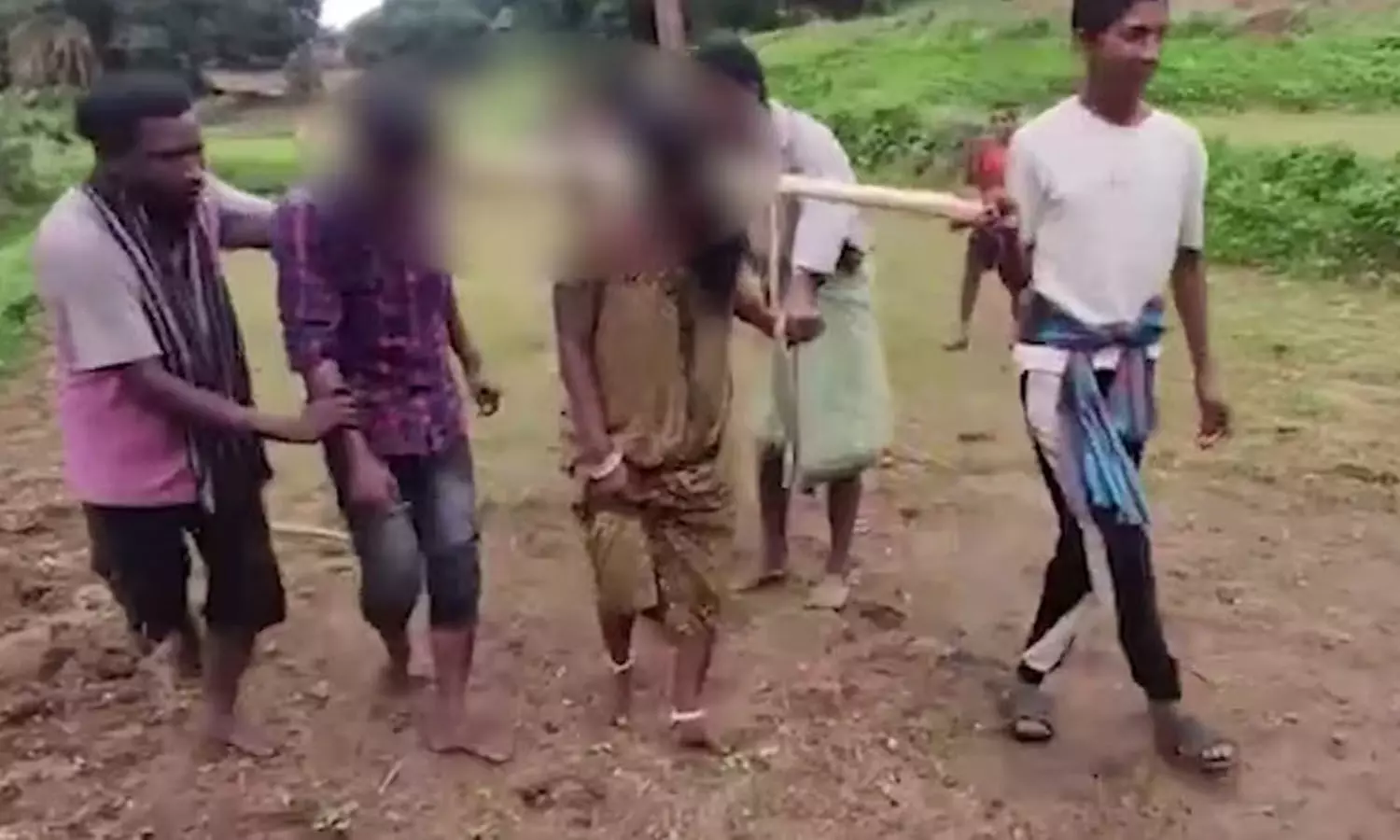 Viral Video, Newly married couple, yoke like oxen, forced to plough field, Odisha, Rayagada district Viral Video, Newly married couple, yoke like oxen, forced to plough field, Odisha, Rayagada district
