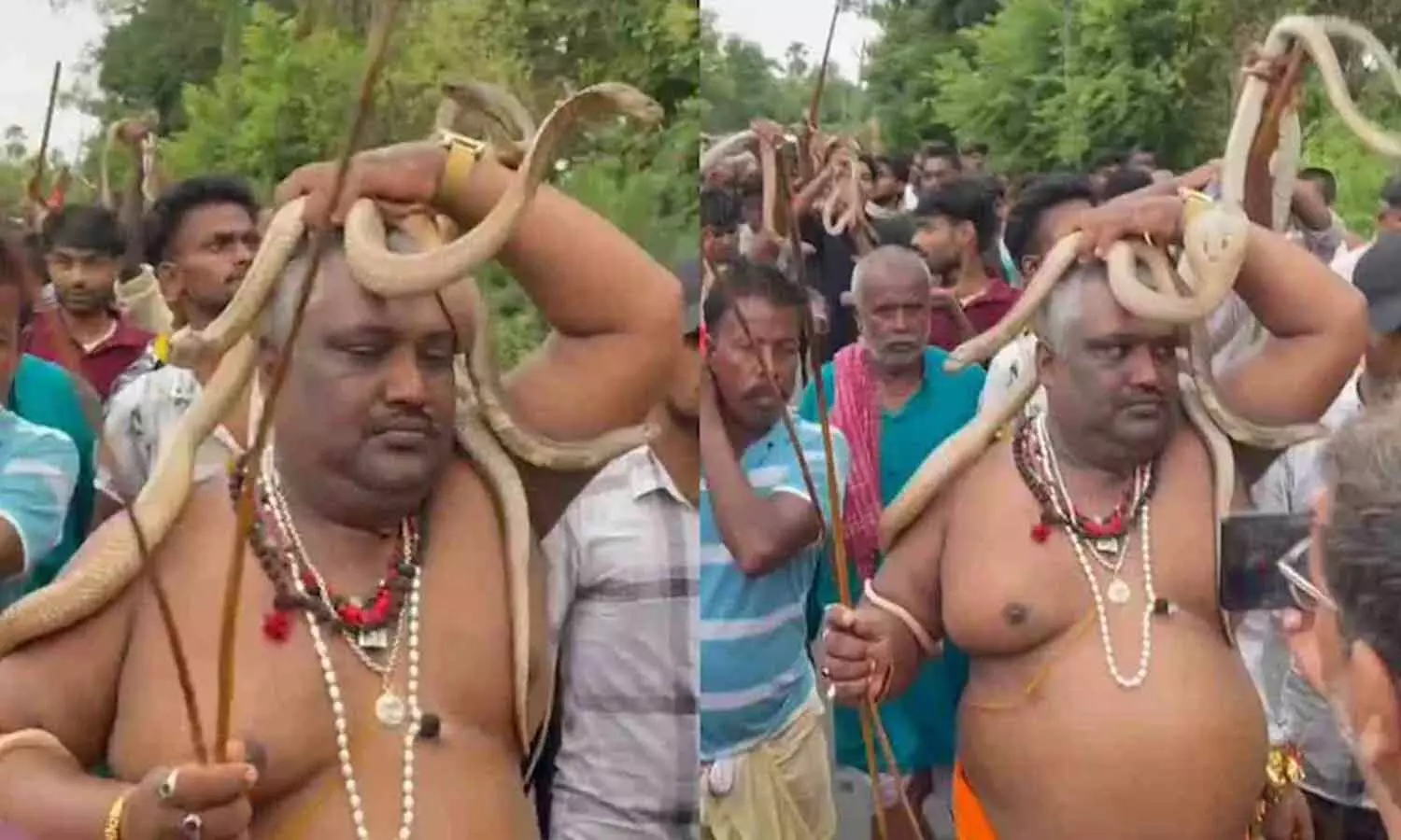 Video : శతాబ్దాలుగా పాటిస్తున్న సంప్రదాయమట..! Video : శతాబ్దాలుగా పాటిస్తున్న సంప్రదాయమట..!