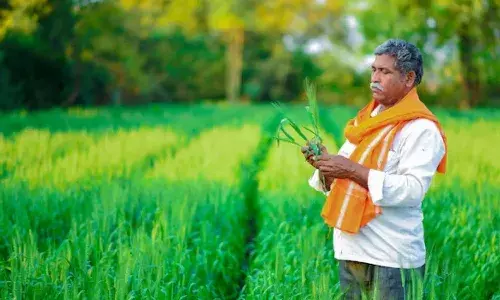farmers, PM Dhan Dhanya Krishi Yojana scheme, Central Govt