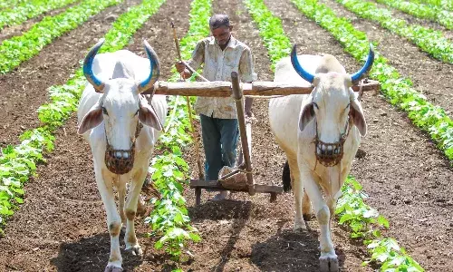 AP government, Annadatha Sukhibhava scheme, APnews, Farmers