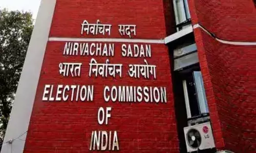 Nationak News, Vice Presidential elections, Election Commission
