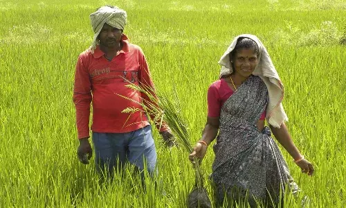 Minister Atchannaidu, Annadata Sukhibhav scheme, Farmers, APnews