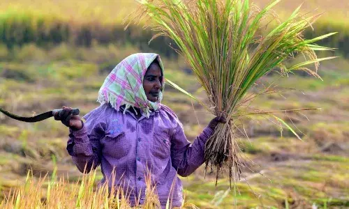 AP CM Chandrababu Naidu, Annadatha Sukhibhav scheme, APnews, AP Farmers