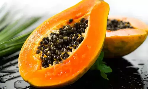 pregnant women, papaya, Life style