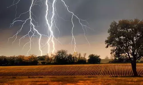 APnews, Agricultural labourer died, 2 others injured, lightning strike