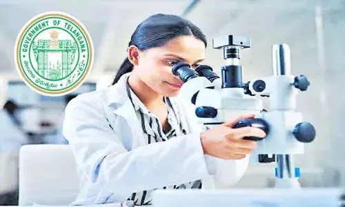 Telangana, Lab Technician Posts, Provisional Merit List