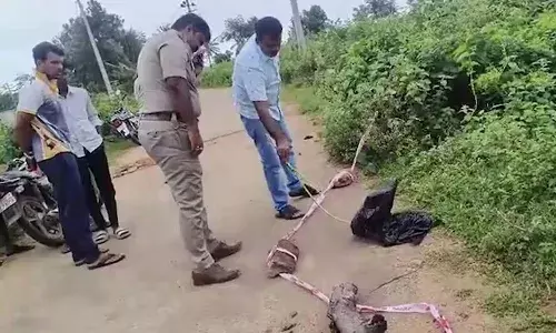 Karnataka, horror: Severed head, chopped up body of woman, Crime, Tumakaru