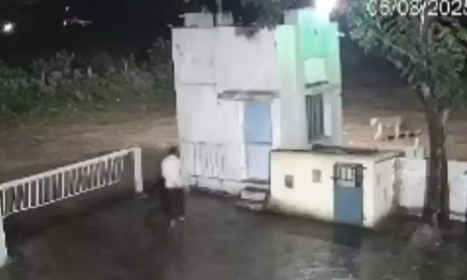 Viral Video, Gujarat, man and lion Viral Video, Gujarat, man and lion