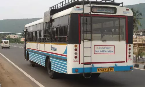 Free Bus Travel, AP Women, APnews, APgovt
