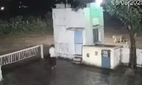 Viral Video, Gujarat, man and lion