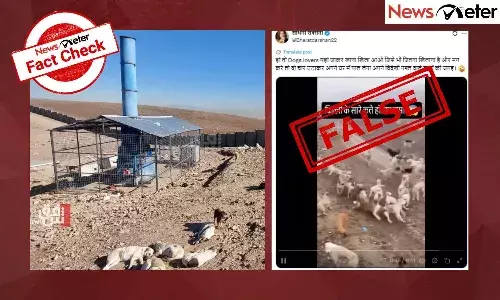 NewsMeterFactCheck, Supreme Court order, stray dogs in Delhi-NCR, Dog shelters