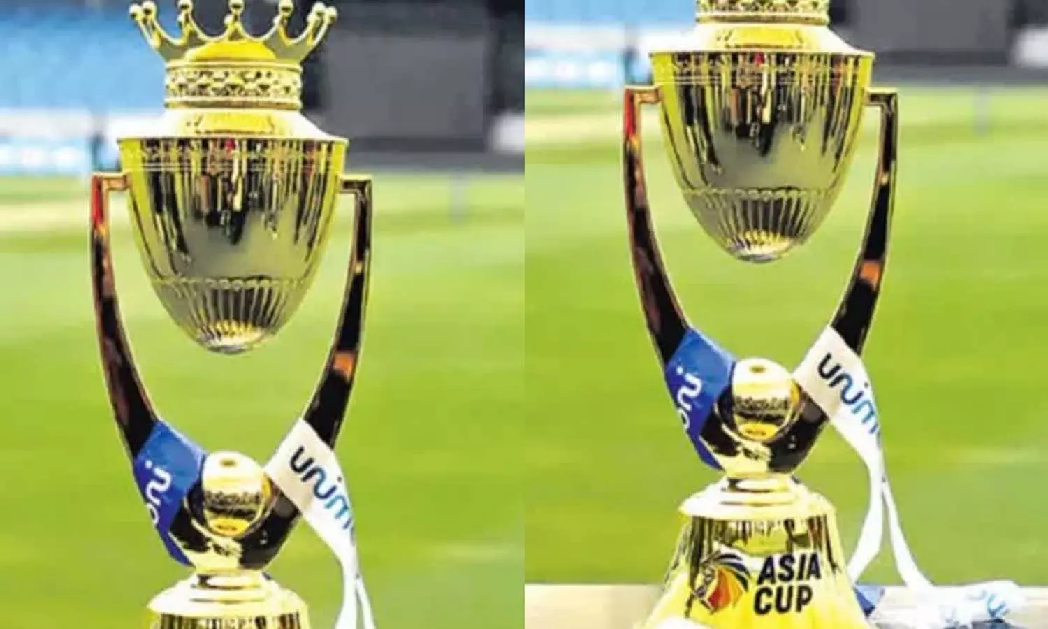 Sports News, Asia Cup 2025, Team India, Bcci Sports News, Asia Cup 2025, Team India, Bcci