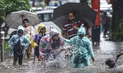 Collectors, holiday, educational institutions, several districts, heavy rains