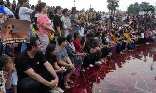 సుప్రీం ఆదేశాలకు వ్యతిరేకంగా నిరసన.. జంతు ప్రేమికులపై ఎఫ్‌ఐఆర్