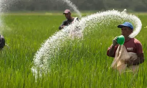 Central Govt, 50 thousand metric tons of urea, Telangana, Farmers