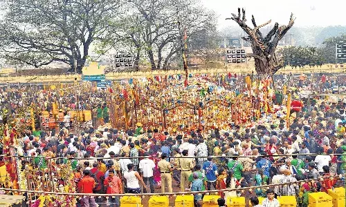 Telangana, Mulugu District, Medaram Jatara, Rs. 150 crore funds