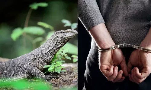 Odisha, YouTuber cooks monitor lizard meat, arrest, Crime