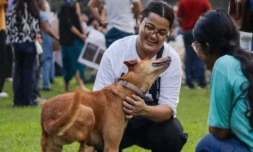 National News, Delhi, Supreme Court, stray dogs order