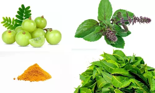 natural herbs, blood purify,Heart-leaved moonseed, Life style