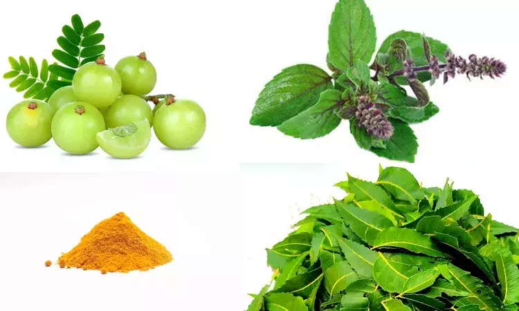 natural herbs, blood purify,Heart-leaved moonseed, Life style