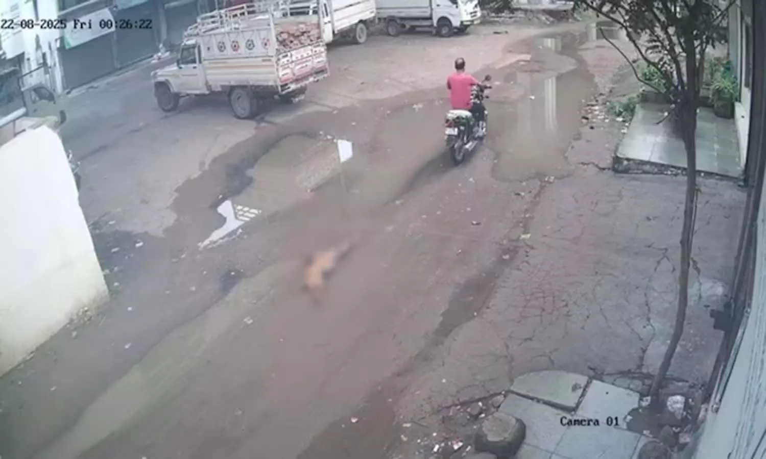 Viral Video, National News, Gujarat, Ahmedabad Viral Video, National News, Gujarat, Ahmedabad