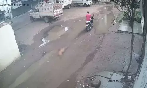 Viral Video, National News, Gujarat, Ahmedabad